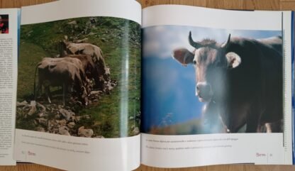 Una tradizione di qualità in Valtellina. Sua Maestà il Bitto