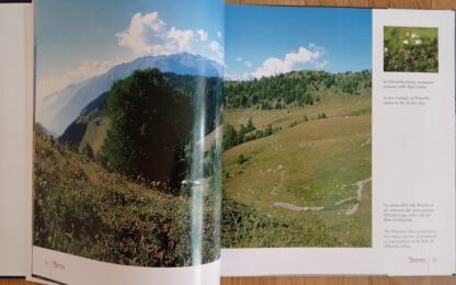 Una tradizione di qualità in Valtellina. Sua Maestà il Bitto