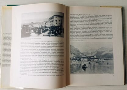 Il Lago Maggiore in un secolo di pittura 1840/1940